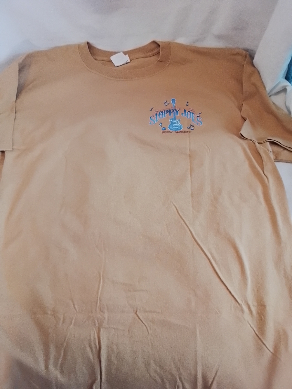 Anvil Tan Short-Sleeve Tee with Light Blue Logo